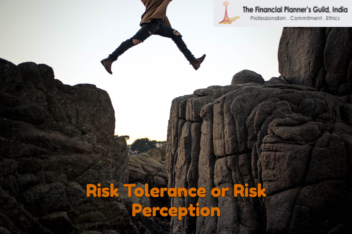 Risk Tolerance or Risk Perception